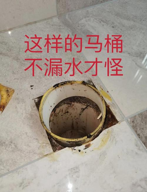 马桶冲水器漏水游戏截图