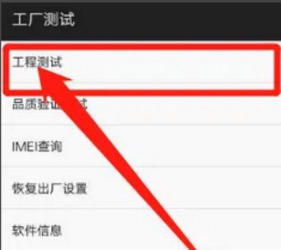 vivo检测模式