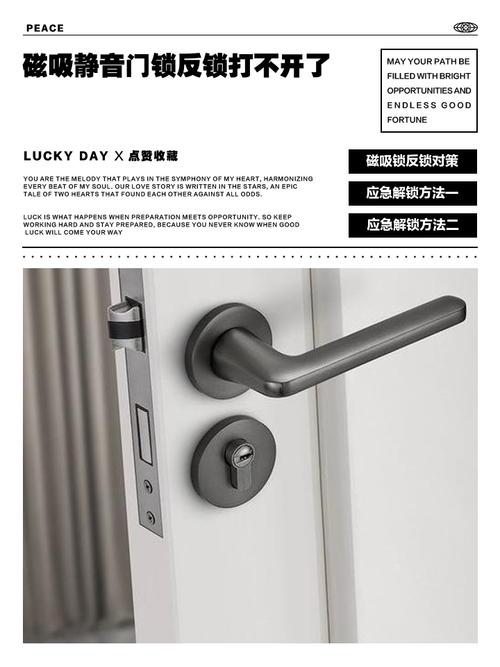 静音磁吸门锁不能反锁的原因游戏截图