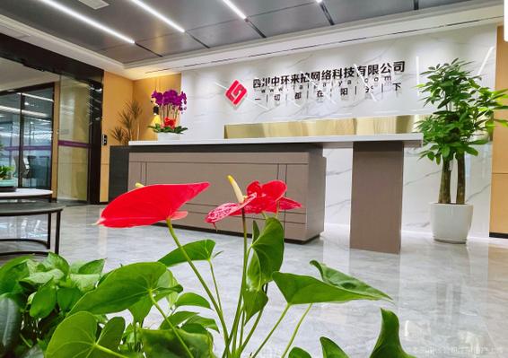四川中环来拍网络科技有限公司