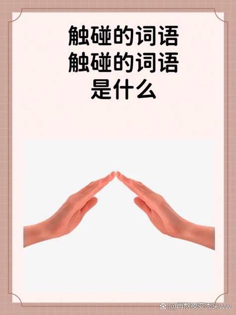 碰触的近义词是什么么标准答案