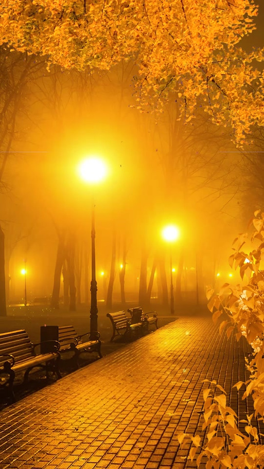 夜晚路灯下优美句子