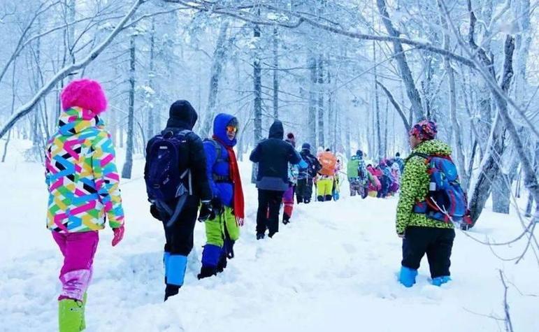 泰拉瑞亚雪原环境放哪两个截图