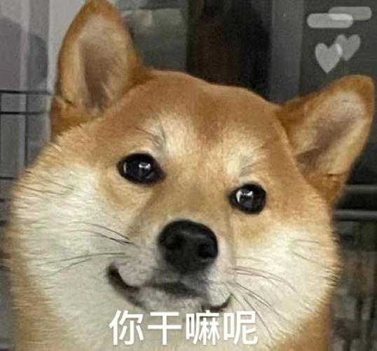 干嘛呢?