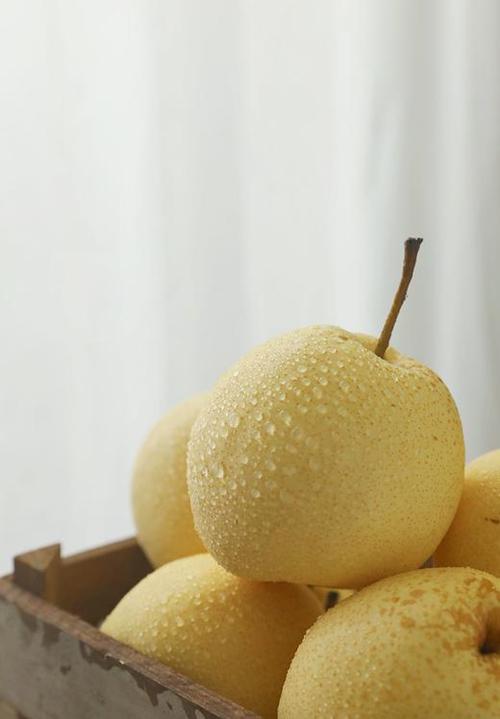 脆梨品种大全图