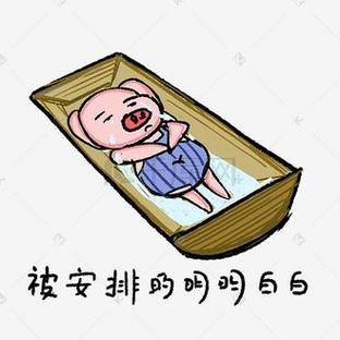 被安排得明明白白的表情包