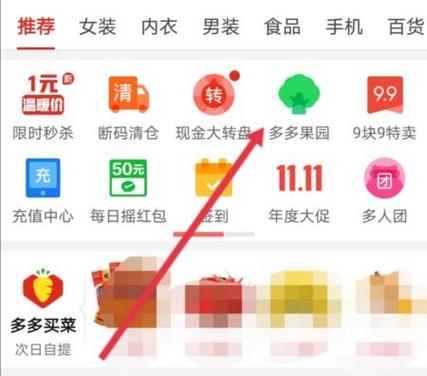 拼多多浇水竞赛奖励可以第二天领吗