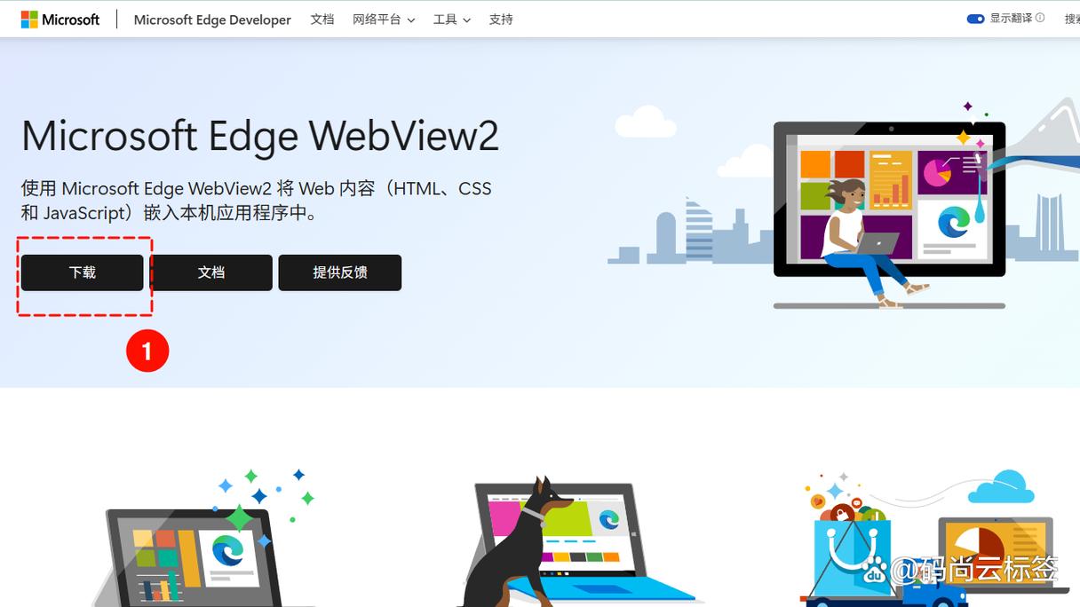 webview纯净版官网入口