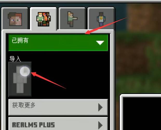 如何将图片导入mc