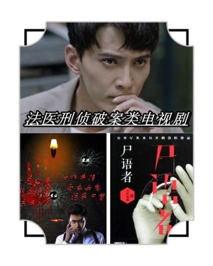 刑侦法医类电视剧国产