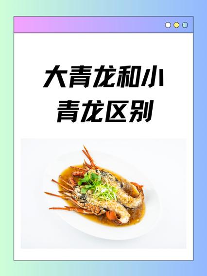 小青龙与大青龙区别