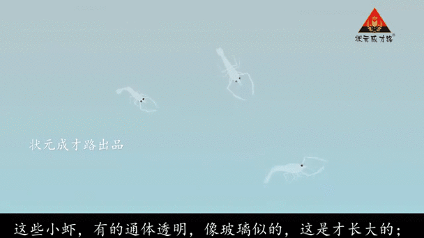 部编版小虾教学实录