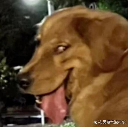 坏笑emoji