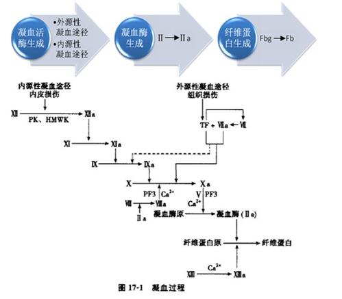 顺序凝固的目的