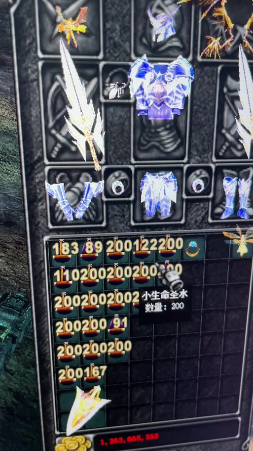 木瓜奇迹2万点战士