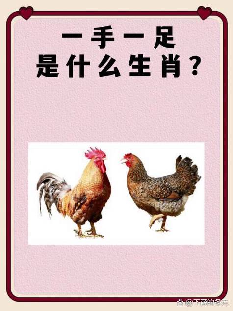 食蚁兽打一最准生肖
