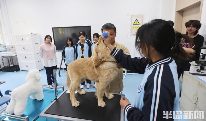 特殊驯化教育中心