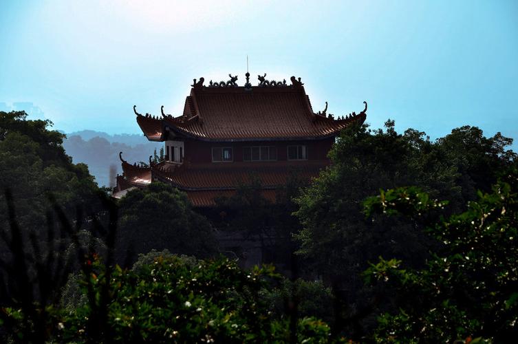 龙山