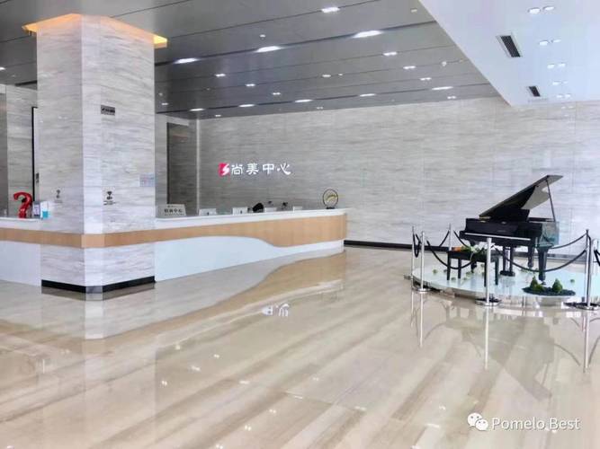 深圳市柚子科技有限公司图标