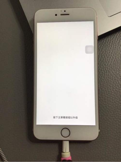 苹果手机还原后就是没激活吗