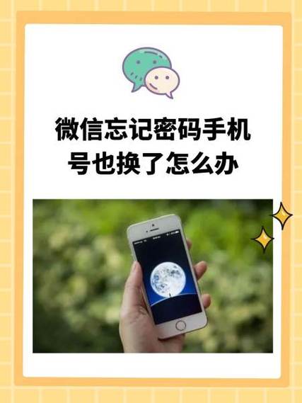 携程忘记登录密码 手机号也不用了