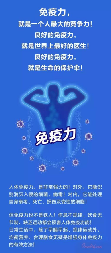 免疫力低吃什么补得快