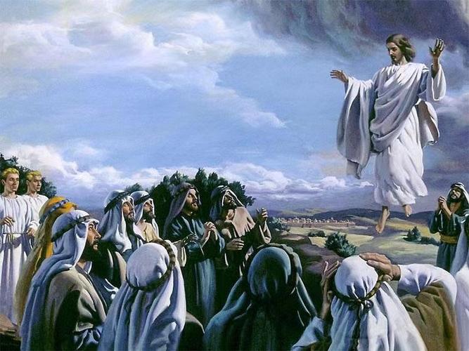 升到一个太阳多少天缩略图