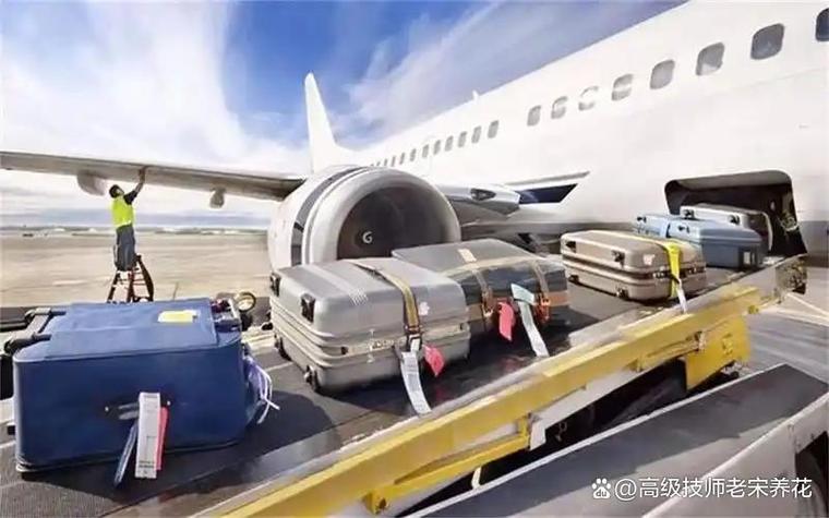 汽车托运费用1000公里多少钱游戏截图