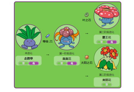 我的世界神奇宝贝怎么进化