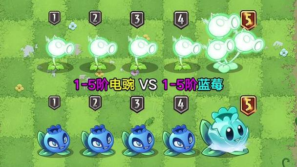 蓝莓怎么打僵尸