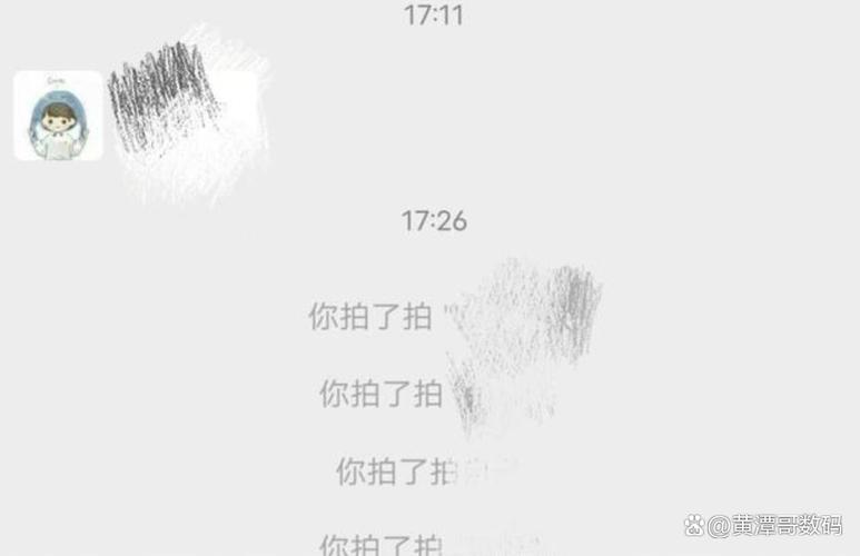 拍拍历史版本