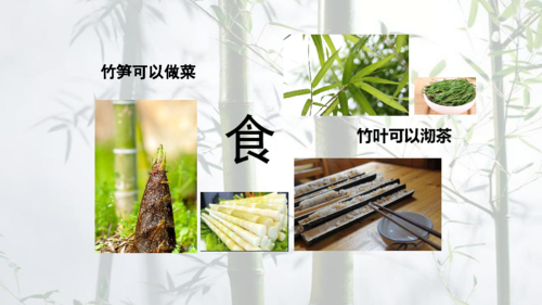 浙美版六年级下册竹