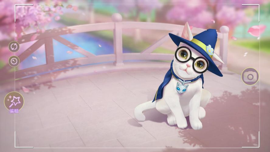 猫咪用的美颜相机