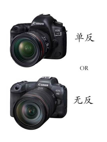 相机单反和无反是什么意思