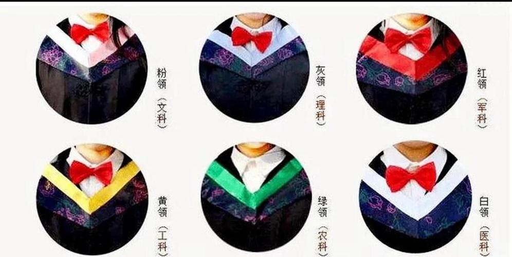 粉领是什么科