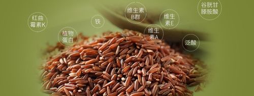 为何一吃红米就上火