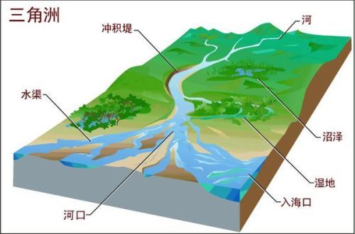 https//三角洲·中国