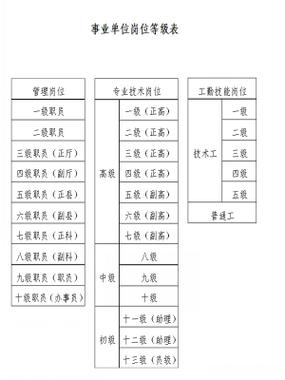 五级职员是领导吗