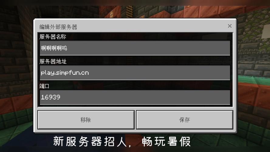 我的世界无规则生存服务器