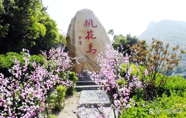 桃花岛武功有哪些