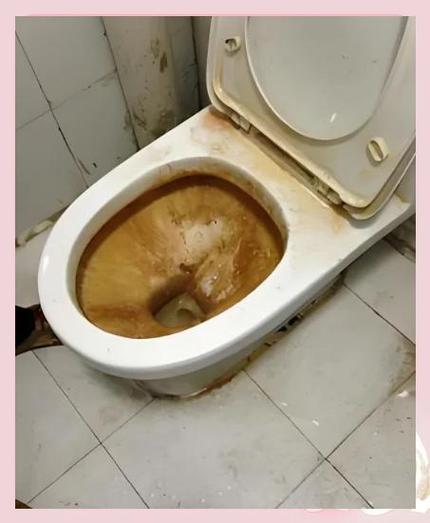 马桶堵了怎么办缩略图