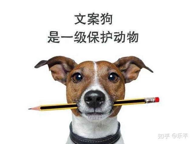 一句话赞美狗