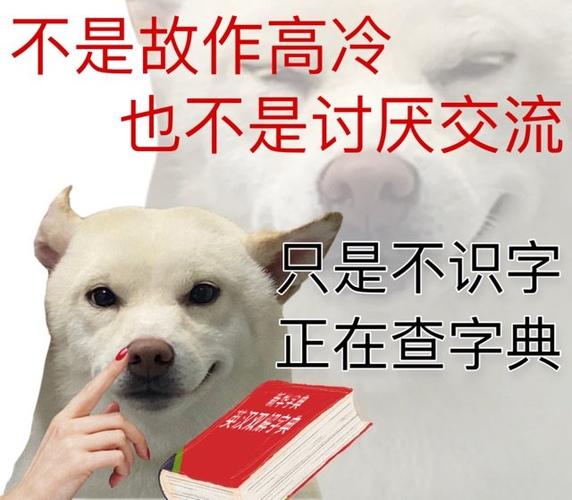 苹果输入法表情包对应文字