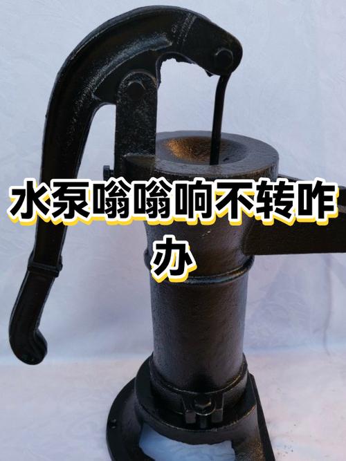 循环泵突然不转了有什么原因