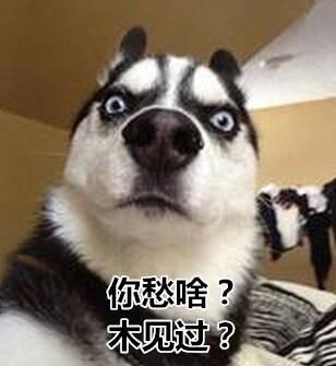 你瞅啥有哪些搞笑回复