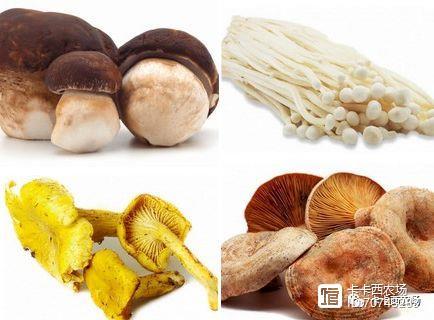 蘑菇商人怎么入驻?