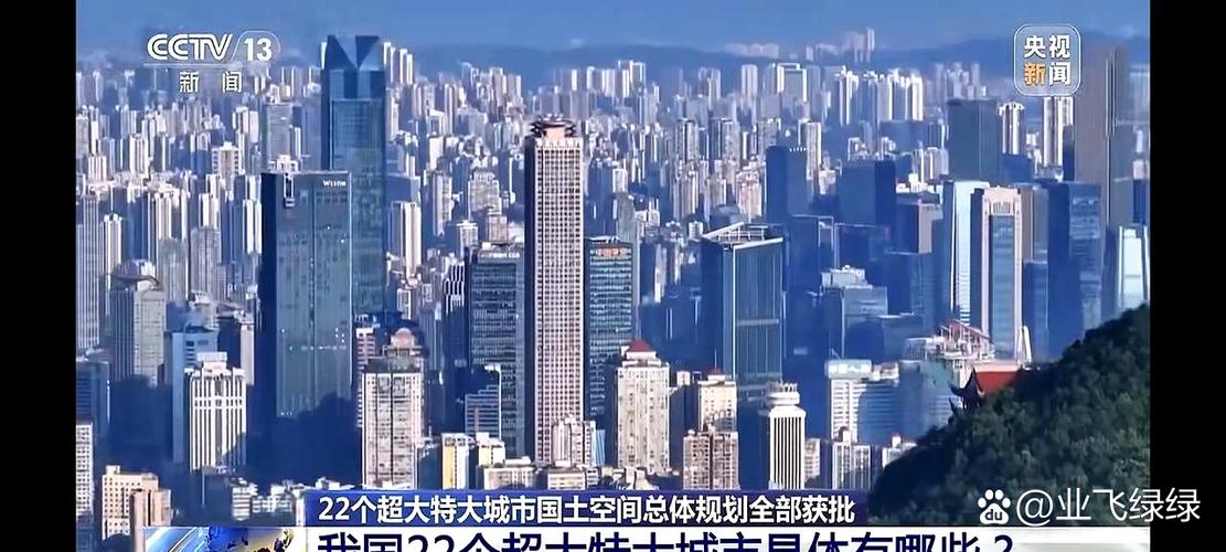 中国超大特大城市
