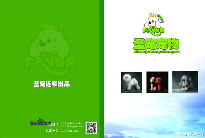 狗狗书籍全本免费下载