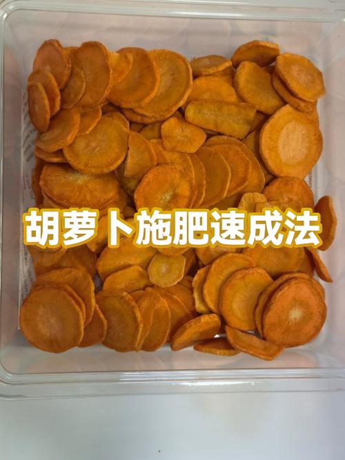 胡萝卜豆浆最佳配方