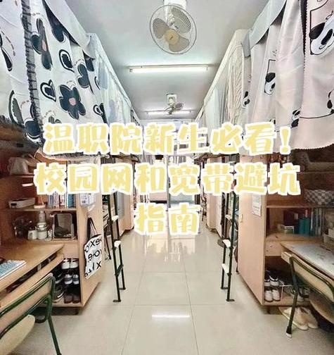 宿舍宽带多少兆合适缩略图